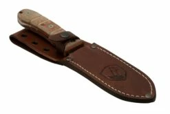 Condor Tactical P.A.S.S. Chute Knife, Feststehendes Messer 13 Condor Tactical P.A.S.S. Chute Knife, Feststehendes Messer -Messer Verkäufe 2024 CTK1827 105 4C 06 condor