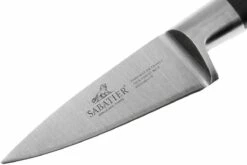 Lion Sabatier Idéal Officemesser 15 Cm, 710980 10 Lion Sabatier Idéal Officemesser 15 Cm, 710980 -Messer Verkäufe 2024 SA710980 03 lion sabatier ideal inox sa710980 03